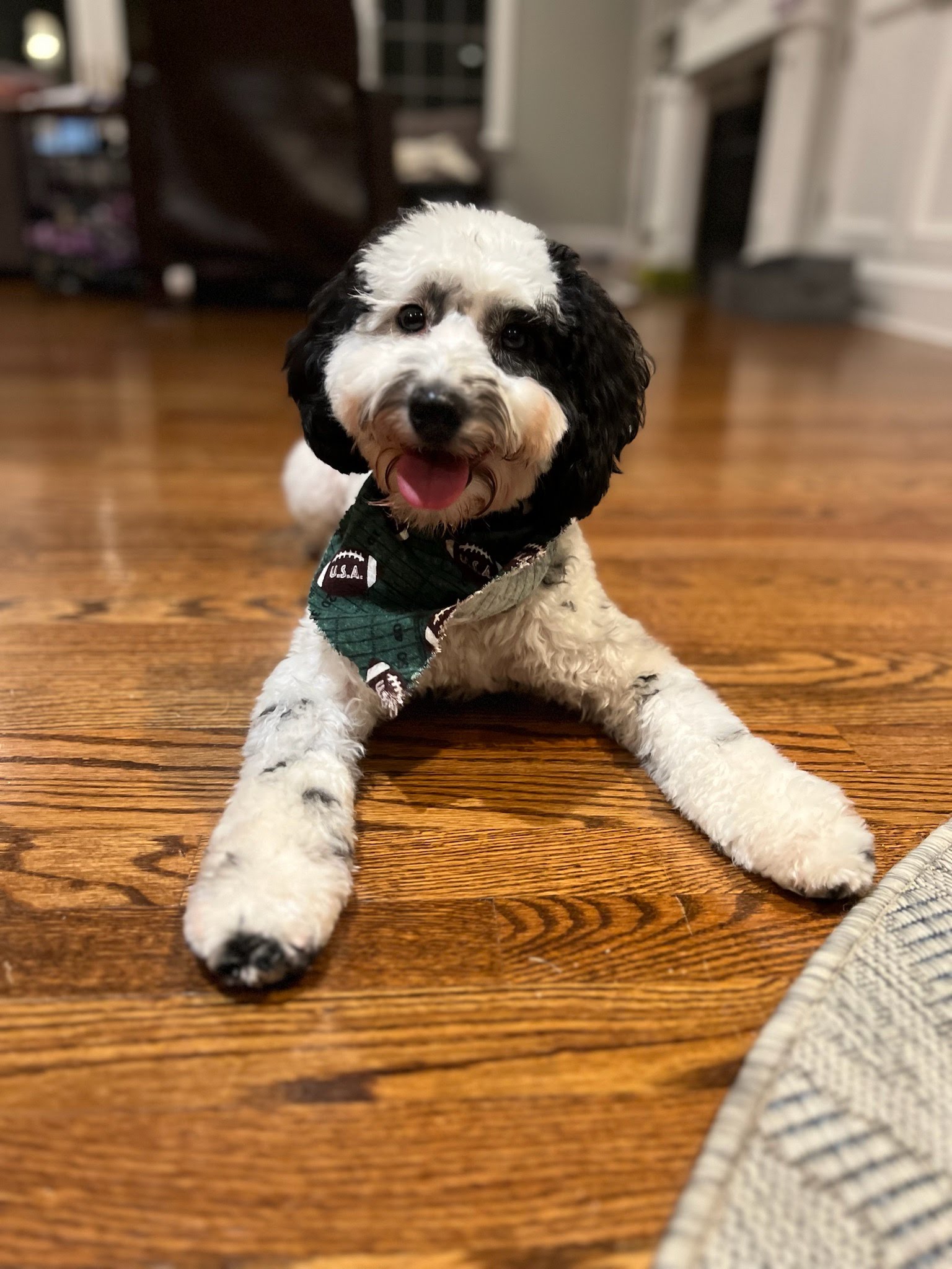 Our Team New Jersey Estate Planning Lawyer The Chamberlain Law Firm